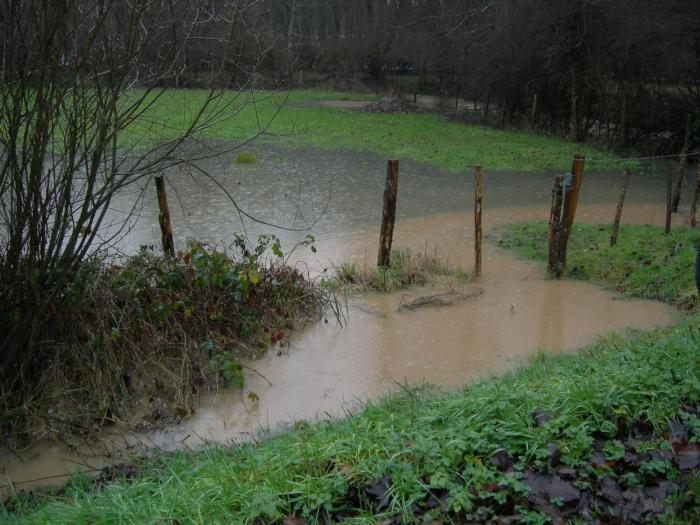 dscn9368.jpg