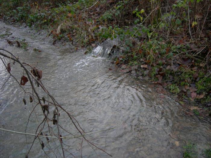 dscn9376.jpg