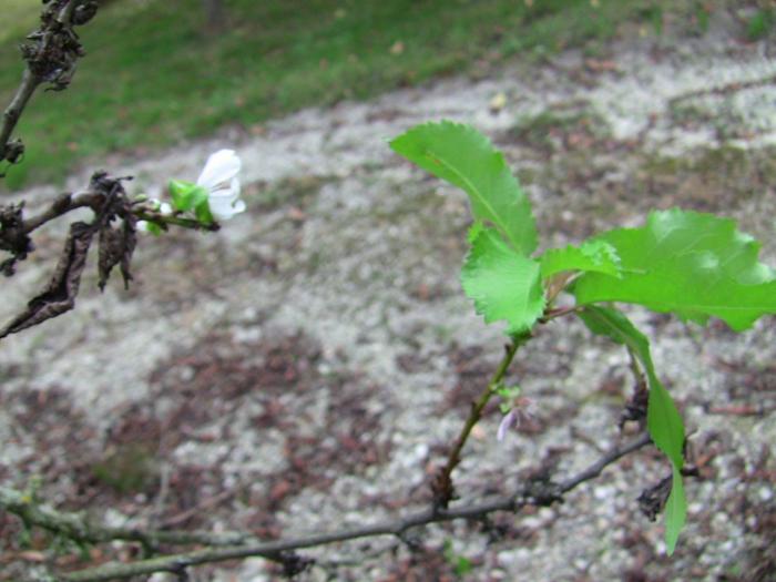 img-0180.jpg